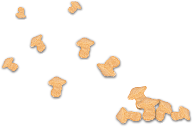 mk brand mushroom mints