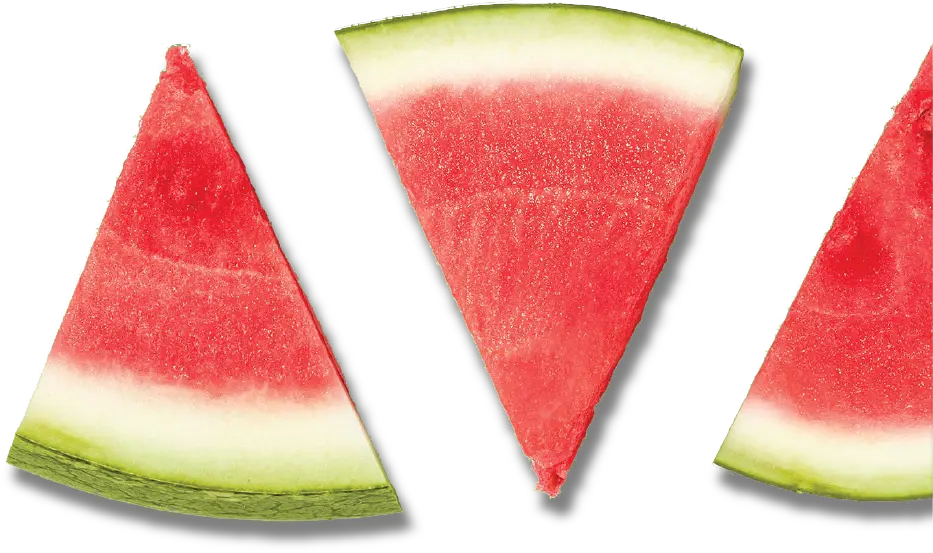 watermelon slices